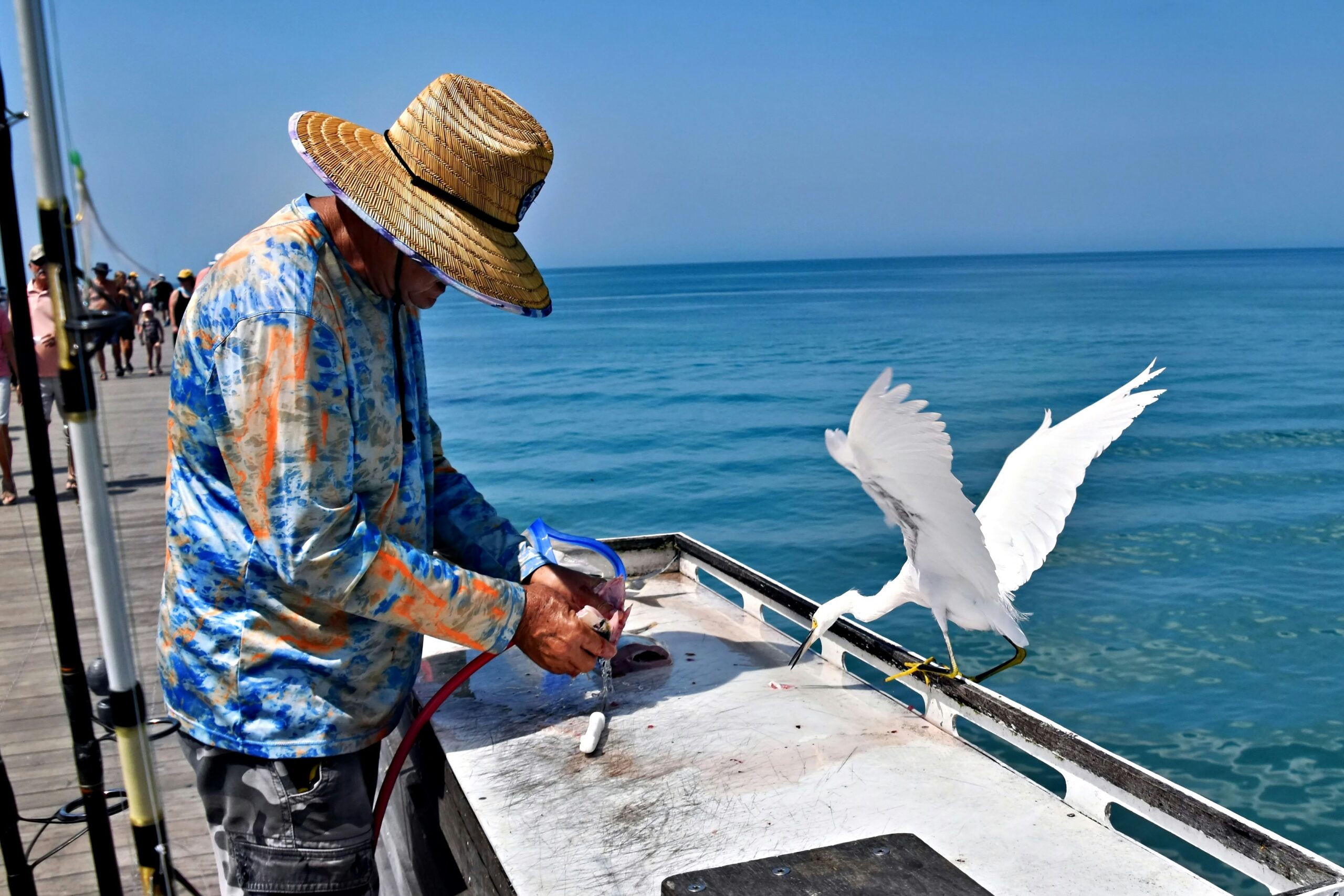 Venice Fishing Pier